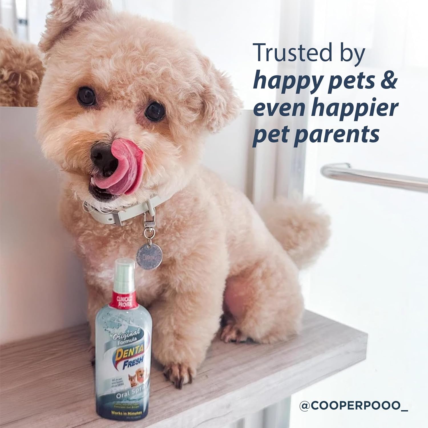 Dental Fresh Oral Spray for Dogs & Cats