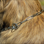Duvo+ Chrome Slip Chain Dog Collar