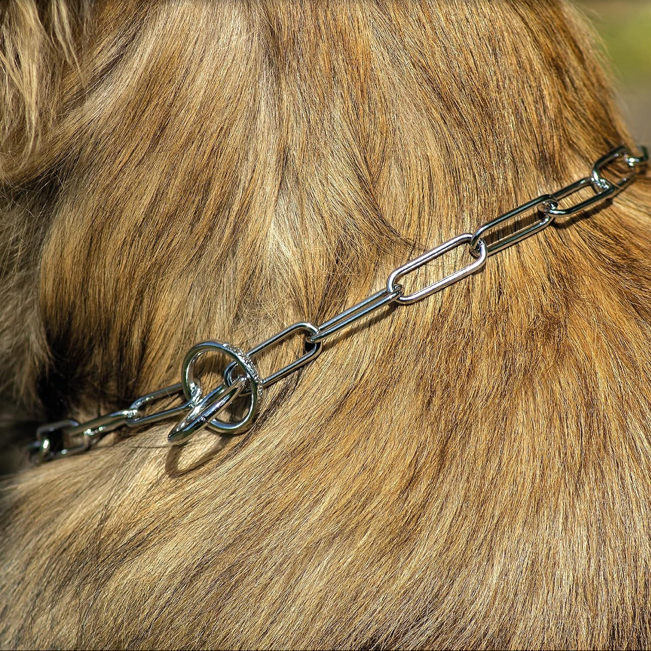 Duvo+ Chrome Slip Chain Dog Collar