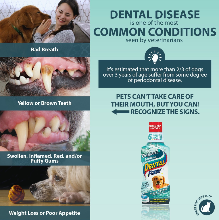 Dental Fresh Pet Dental Water Additive Bottle (237ml)