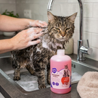 Duvo+ Cat Shampoo - Rosemary