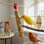 Prestige Sticks Exotic Fruit for Budgie & Canary- 2x