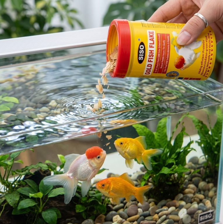 SISO Gold Fish Flake Food - Jar