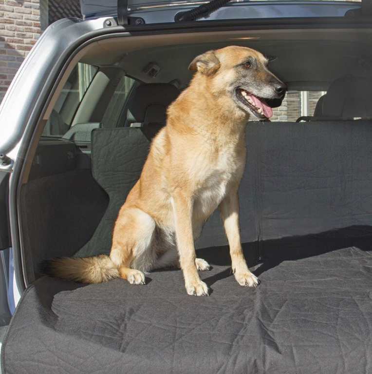 Duvo+ 2-in-1 Car Cover - 180x138cm