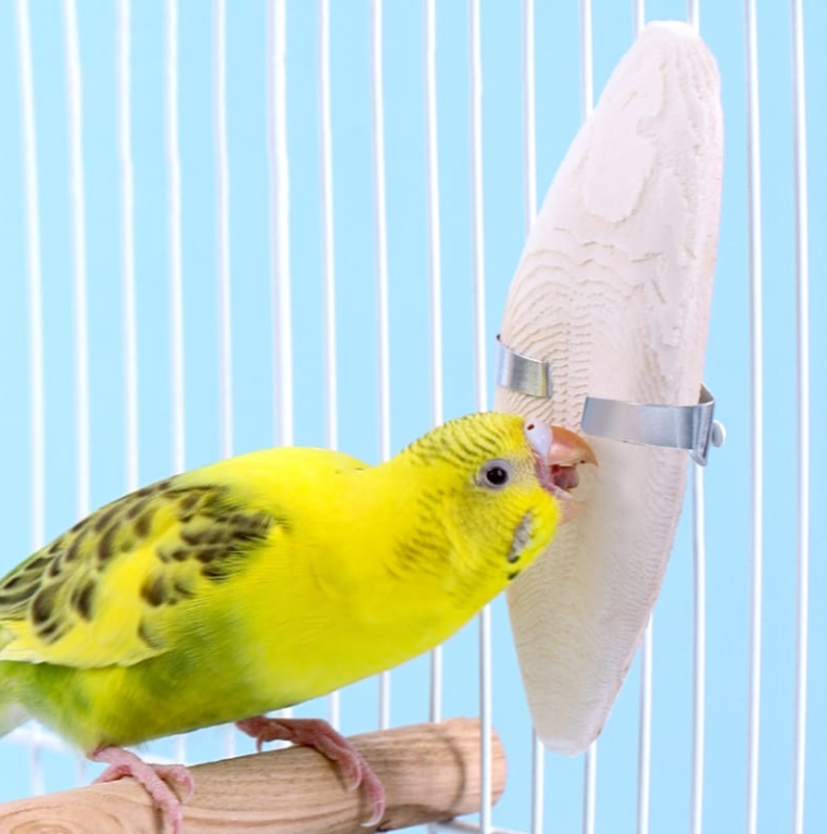 Duvo+ Bird Calcium Bone