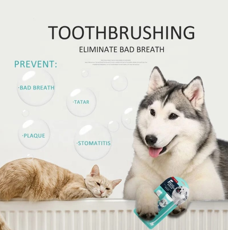 Dog Toothpaste & Toothbrush Set