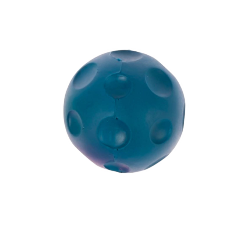 Dog Fetch Ball