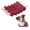 Spiky Rubber Ribs Dog Chew Toy