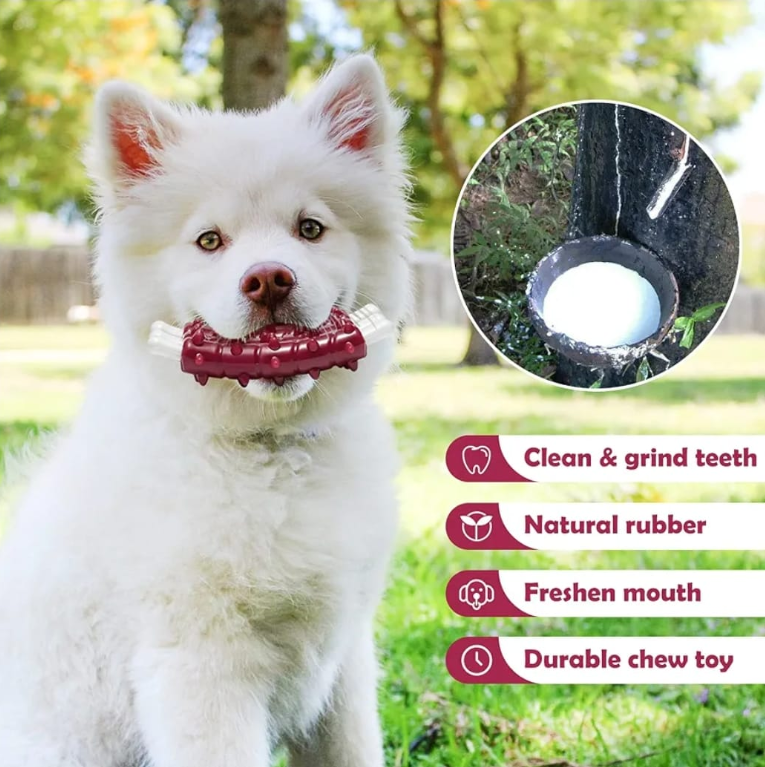 Spiky Rubber Ribs Dog Chew Toy