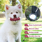 Spiky Rubber Ribs Dog Chew Toy