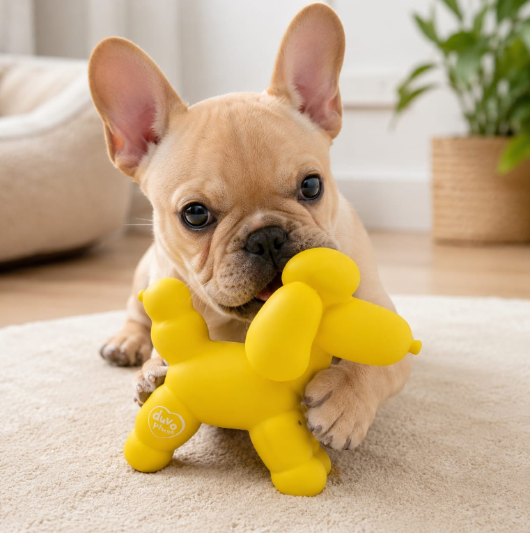 Duvo+ Squeaky Dog Toy