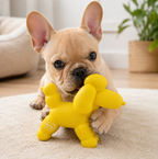 Duvo+ Squeaky Dog Toy