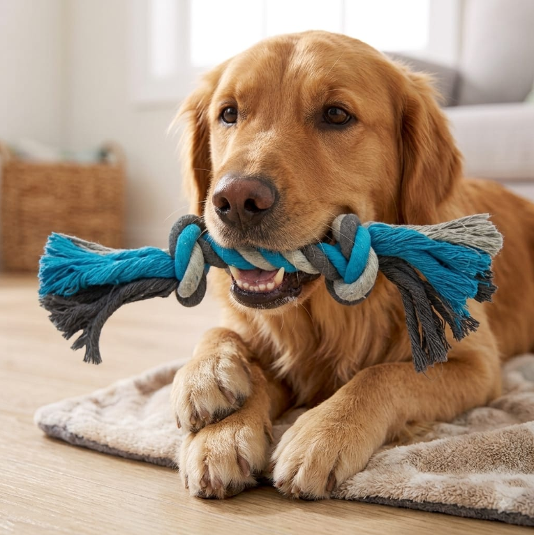 Duvo+ Dog Cotton Rope Toy - Blue/Gray