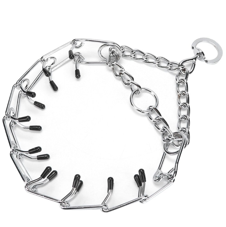 Dog Training Pinch Collar