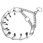 Dog Training Pinch Collar