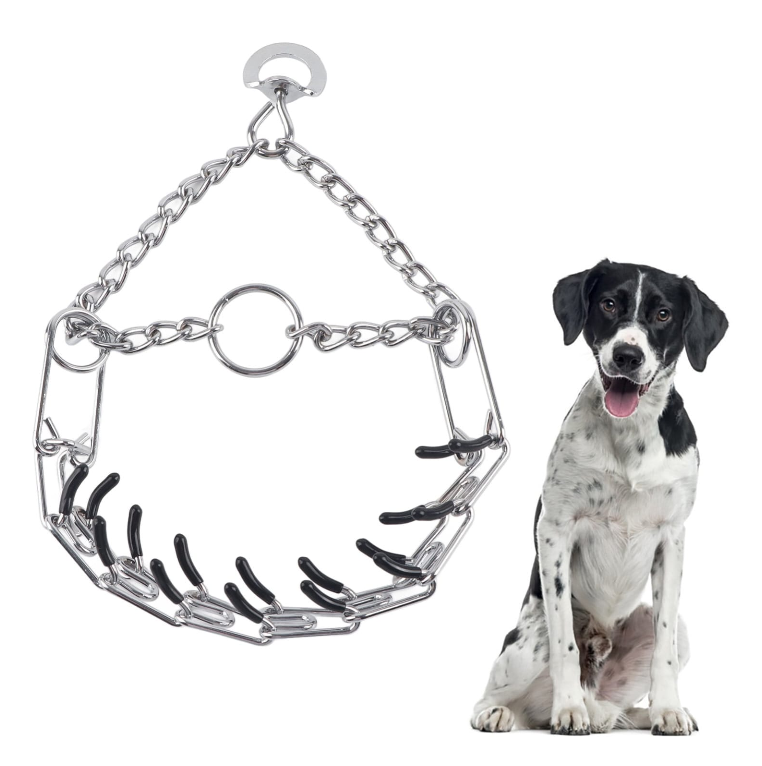 Dog Training Pinch Collar