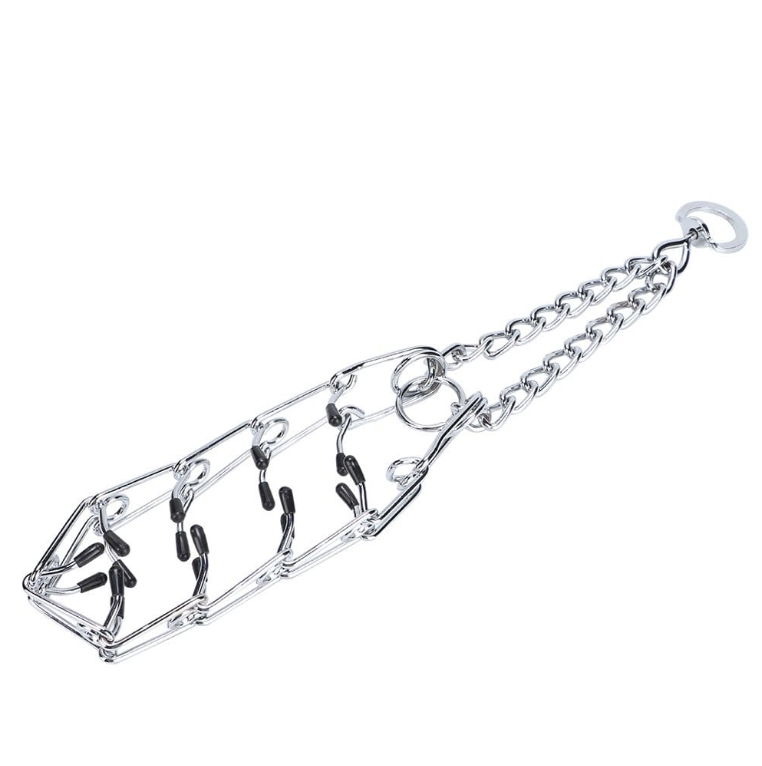Dog Training Pinch Collar