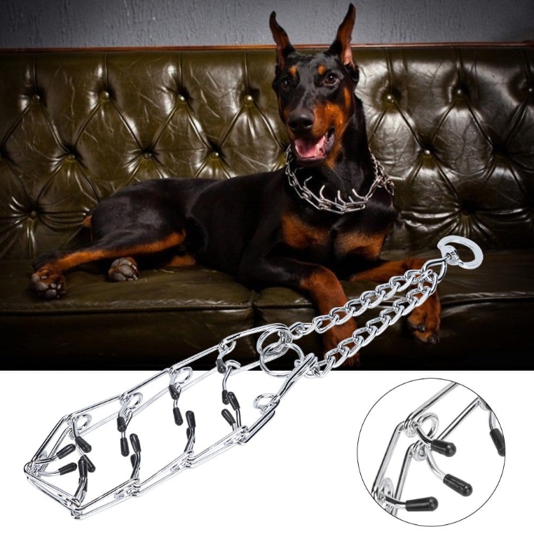 Dog Training Pinch Collar