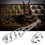Dog Training Pinch Collar