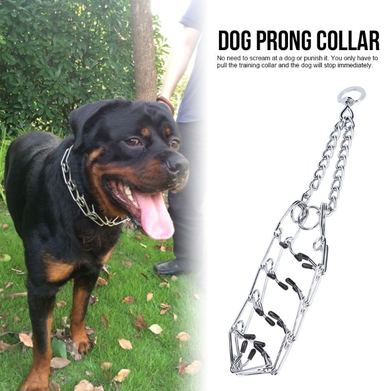 Dog Training Pinch Collar