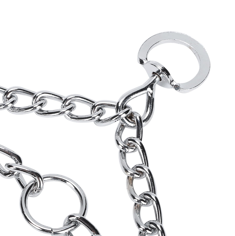 Dog Training Pinch Collar