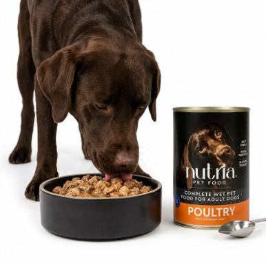 Nutria Adult Wet Dog Food Can