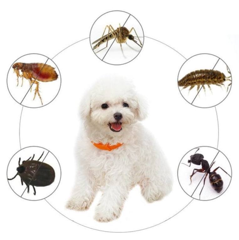 8-Month Flea & Tick Collar - 38cm