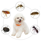 8-Month Flea & Tick Collar - 38cm