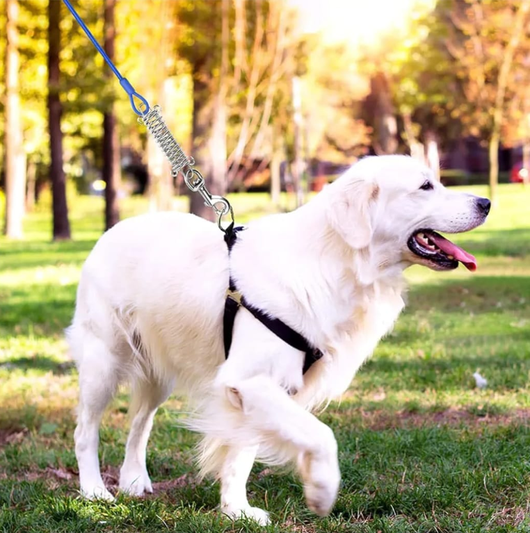 Dog Leash with Spring