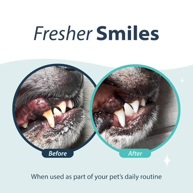 Dental Fresh Oral Spray for Dogs & Cats